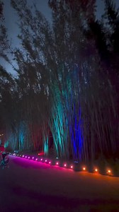 IllumiNights Summer Spectacle @ ZOO🦒🕺🌌✨ Starting May 24, embark on a mesmerizing journey at the Jacksonville Zoo and Gardens as they proudly present their third annual IllumiNights Summer Spectacle. Prepare to be delighted by an enchanting fusion of nature-focused light installations, captivating live entertainment and unforgettable animal encounters. Members get an exclusive, discounted first look on May 23! ❤️ New this year: EXPERIENCE ENCHANTMENT ✨ Our new lighting installations promise to