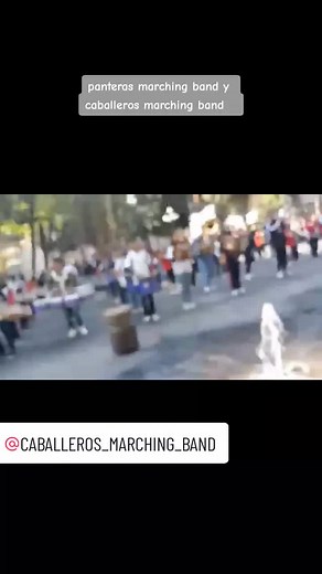 black panthers marching band on TikTok