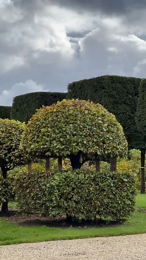 47K views · 123 reactions | Back at it again!  This absolutely...