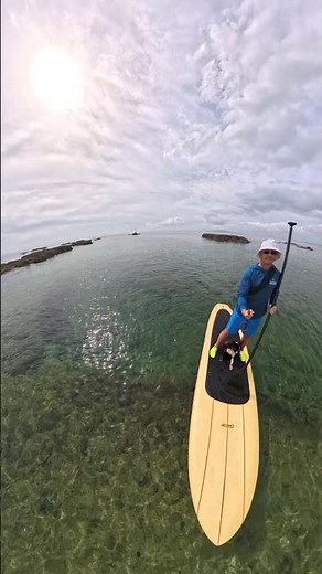 Paddle boarding with my skipper - Bucky the Boston 🌊