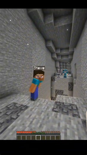 Don't judge minecraft player