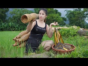 The simplest way to trap eels, catch many eels on rainy days, cooking . triệu lily