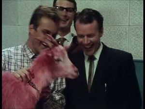 SHOUT ,, The Johnny O'Keefe Story ,,, You Hit The Wrong Note Billy Goat ,,, 1985