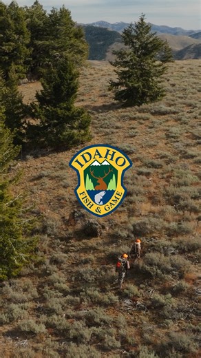 Idaho Fish and Game on Instagram: "Did you get a big game tag this year? Have you filled out your Mandatory Hunter Report? Whether you harvested or not, receiving accurate and timely data about your hunt is extremely valuable for managing wildlife. It's quick and easy and can be done on the web or your mobile phone. Tell us how your season went by submitting your hunter report using the GoOutdoorsIdaho app or at GoOutdoorsIdaho.com. Your report equals better data equals better management. #HuntI