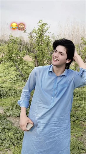 Tapa Complete Ki: A Fun Journey