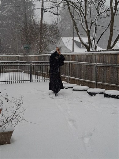 Ki Ken Tai Ichi When the blade dances among the snowflakes ❄️🗡 #martialarts #workoutmotivation #lifestyle #goodvibes #discipline