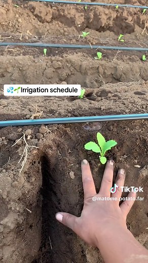 Tackling hesteave🌱💦