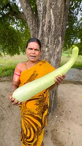 562K views · 8.4K reactions | Bottle Gourd Curry | Side Dish Recipes | Facebook