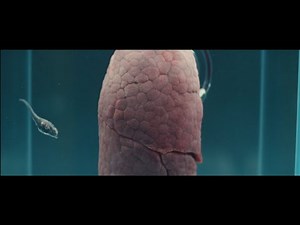Xenophon Larvae enters Joe's Lungs - Alien: Earth - Episode 3