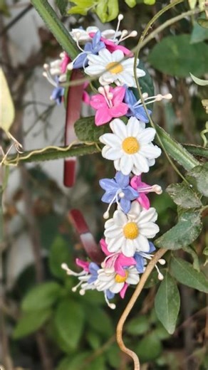 I don't have a Store. So nature offered her lap as my store window 🌿💮✨# handmade#inspired by nature