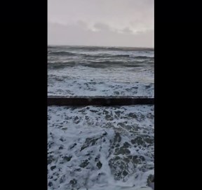 Intense storm Bram floods road and targets nearby homes while passing through Newcastle