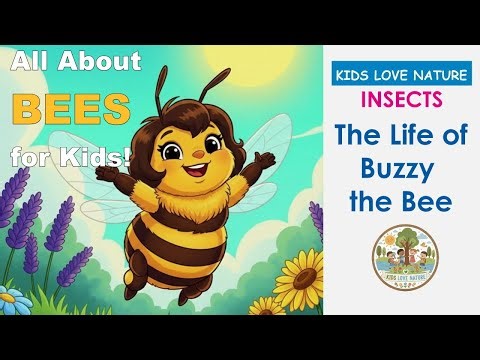 🐝 All About Bees for Kids! | The Life of Buzzy the Bee | Fun Educational Story for Kindergarten