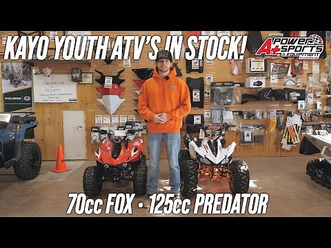Kayo Youth ATVs! 70cc Fox and 125cc Predator for sale! Features, specs, details, review!