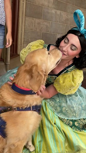 Allie_wags on TikTok