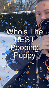 Unleash the Power of Positive Aggression 🐾 Our tailored dog training program taps into your furry friend's natural instincts, channeling their energy into productive behaviors. Say goodbye to chaos, and hello to harmony! 🌟. Link in BIo @wedogtrainer . . . . . . DM For Credit . #dogtraining #hundesport #dogsport #hundetraining #workingmalinois #unterordnung #obedience #unterordnungstraining #obediencedog #dogobedience #dogsports #doghandler #doghandling #igpdog #DogTraining #ReactiveDog #DogBeh