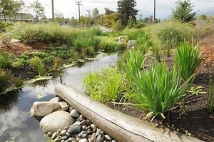 Urban oasis - Alchetron, The Free Social Encyclopedia