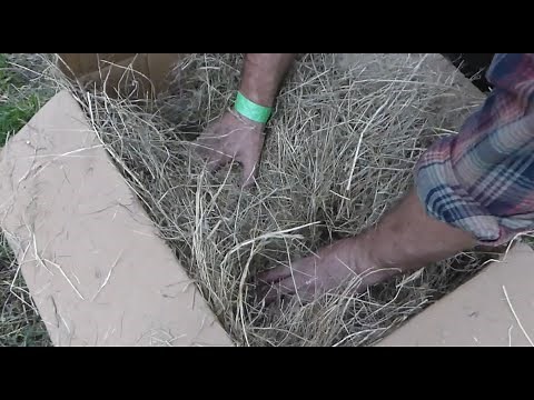 Slow Cooking With a Hay Oven