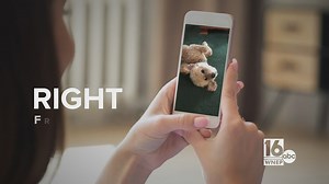 Share your photos to the Pet Slideshow with the WNEP app