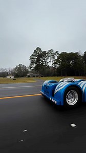 Ol LotRot Strolling in the rain | Troy Massey