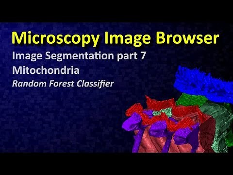 MIB: Image Segmentation tutorial 7: random forest classifier