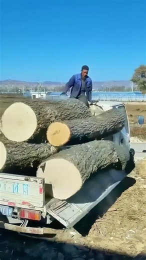 Unloading Giant Logs with a Small Truck - This Operation is Too Hardcore!