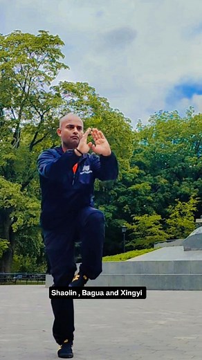 1.9K views · 51 reactions | Early morning training at Queen's Park , Toronto Training Shaolin, Bagau and Xing Yi Quan #shaolin #bagua #xingyiquan #taichi #aikido #wingchun #internalkungfu #shifukanishka #kungfu | Shaolin Gurukul- School of Combative Arts | Facebook