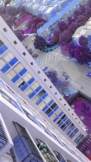 Videos de Mike Jagger-Pohler (@mike11jagpohler) con “AndrewDJoestar MoriohCho Radio - 『AndrewDJoestar』”