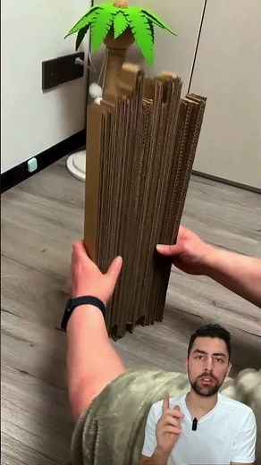 Faça um ARRANHADOR para seu GATO SEM GASTAR 1 REAL