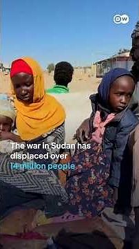 New report confirms famine in Sudan's el-Fasher and Kadugli | DW News