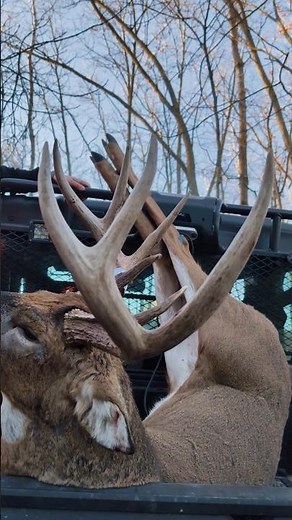Attract Bucks At The RIGHT Time #deerhunting #deerhabitat