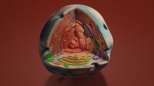 New Technique Uses Molecular Vibrations to Eradicate Cancer | Cancer