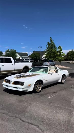 Explore the 1979 Trans Am Firebird Experience