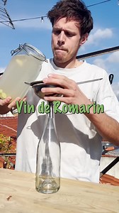 De sucre à l'alcool : le pouvoir de la levure