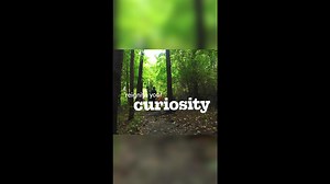 Newport is the gateway to Rhode Island’s coastal beauty & wine regions