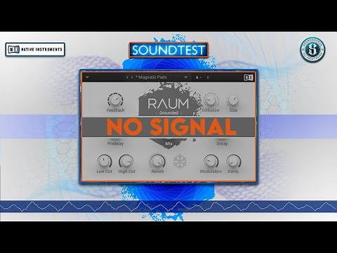 Native Instruments RAUM On Vocal And Guitar - SOUNDTEST