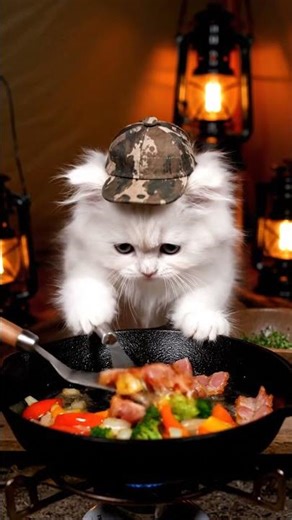 A Super Fluffy Kitten is Cooking Clam Chowder