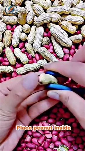 Simple Peanut Shell Cracker Tool