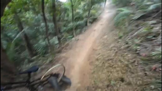 Mountain bike meets sudden deconstruction
