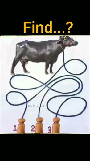 99% Find challenge | #shorts #shortsfeed #challenge #spot #viral #game