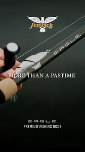 273K views · 118 reactions | The new Fenwick Eagle Series brings classic features anglers trust plus technique-specific actions for every catch. 礪 | Fenwick Fishing | Facebook