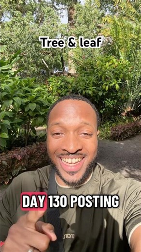 Day 130: Learning a Tigrinya word/phrase until I’m fluent #eritrea #tree #leaf #eritreatravel #park