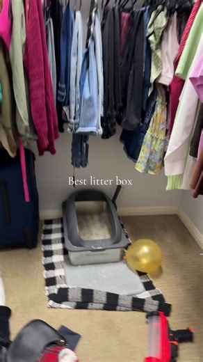Best Litter Box Solutions to Control Odor
