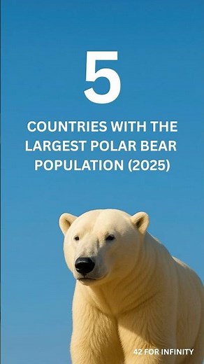 5 Countries with the Largest Polar Bear Populations (2025)