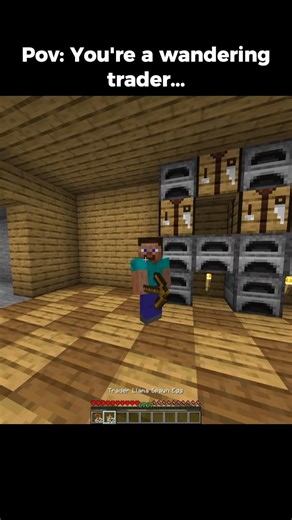 Pov: You're a wandering trader in minecraft