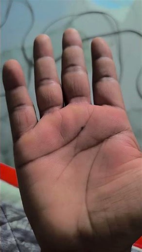 ✋✨ 𝙃𝘼𝙏𝙃 𝙆𝙄 𝙇𝘼𝙆𝙀𝙀𝙍 ✨✋ #viral #kabootar #lakeer #pigeon #shortvideo #sorts