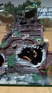 7.2K views · 108 reactions | Aquarium Ornaments | Golden FISH Store | Facebook