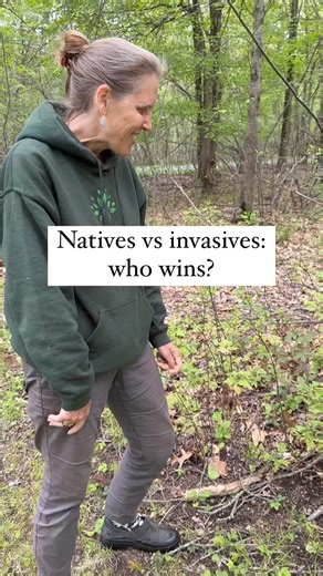 18K views · 190 reactions | By definition invasive plants crowd out...
