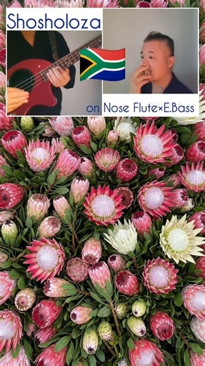 🇿🇦 Shosholoza on Nose Flute×Bass #shorts