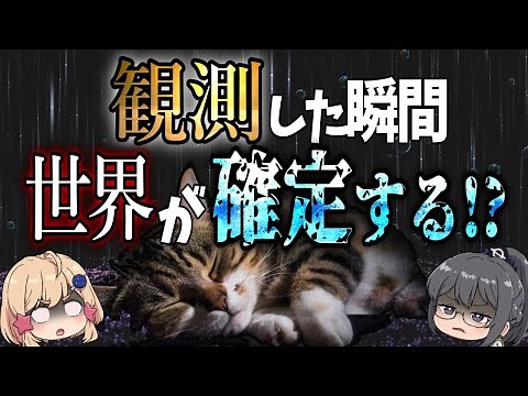 [Quantum theory] Schrodinger's cat, the fattest in the history of science. What is the boundary b...