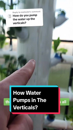 Understanding Aeroponic Towers: How They Work and Feed Plants